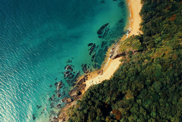 浊度仪