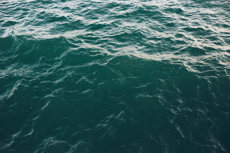 余氯总氯测定仪