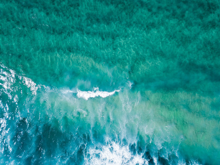 浊度仪