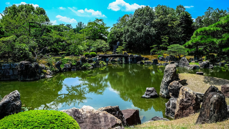 氨氮检测仪