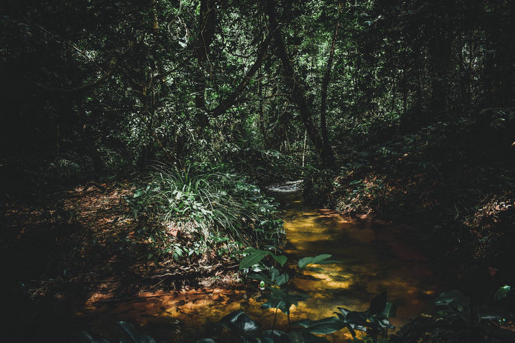 氨氮检测仪