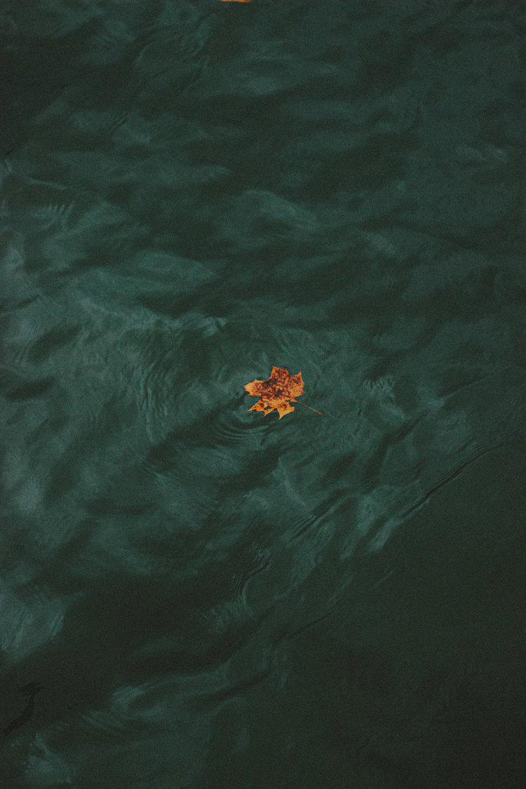 氨氮测定仪