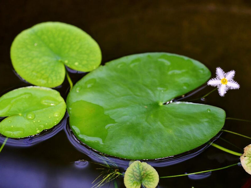 1757294829904588.jpg 1651908402121056.jpg