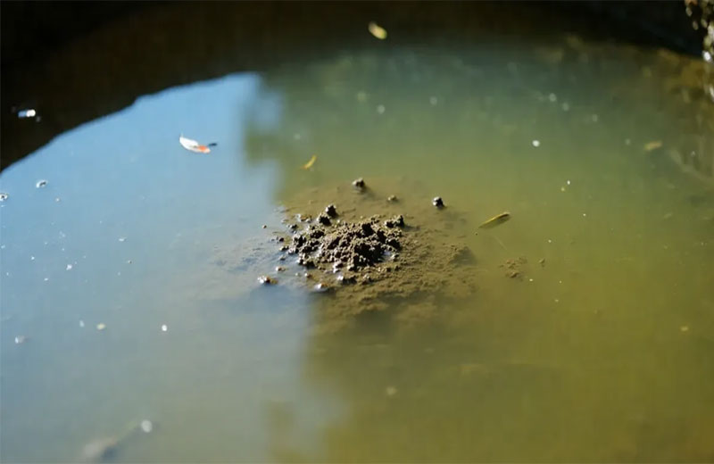 低量程水质浊度检测仪