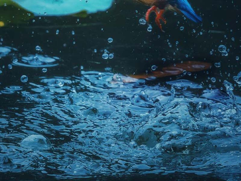 水质COD测定分析仪