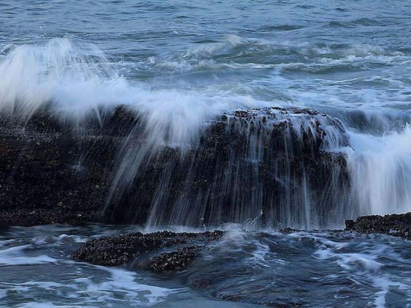 氨氮水质快速测定仪