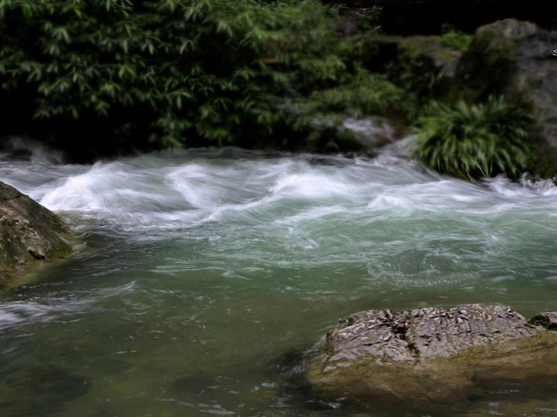 锅炉水氢电导率检测仪