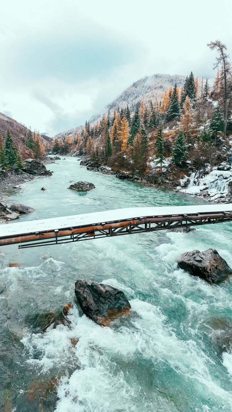 污水总汞含量检测仪