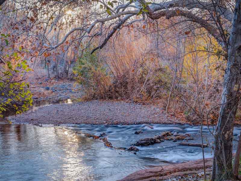 水质挥发酚检测仪