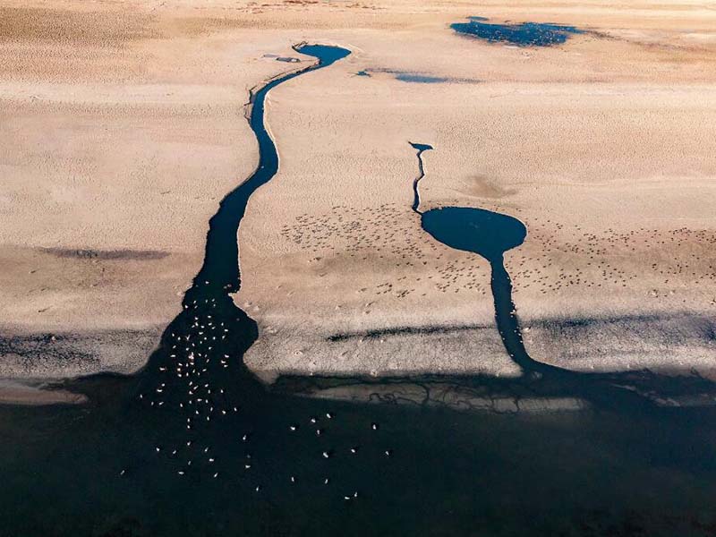 入海总氮检测仪 河流总氮检测仪