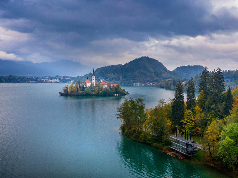 便携式水质生物毒性测定分析仪多场景应用与创新检测技术 便携式水质生物毒性测定仪