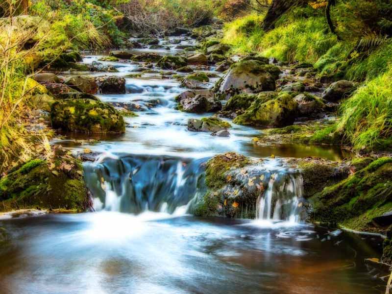 溶解氧水质检测分析仪的分类与日常维护要点 溶解氧水质测定监测仪