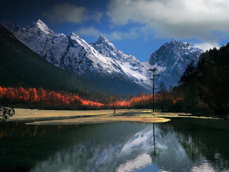 总有机碳分析监测仪的原理、使用方法与应用 总有机碳监测仪