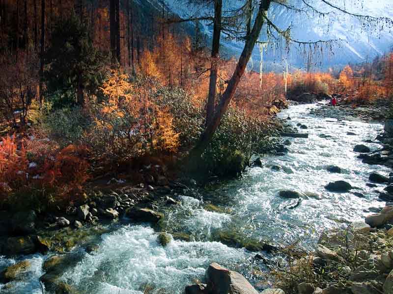 COD在线自动测定分析仪的常见故障及解决方法 COD在线自动测定分析仪