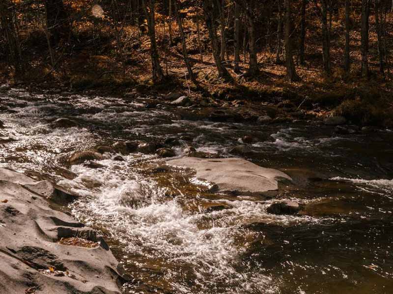 黑龙江伊春水质苯胺检测仪