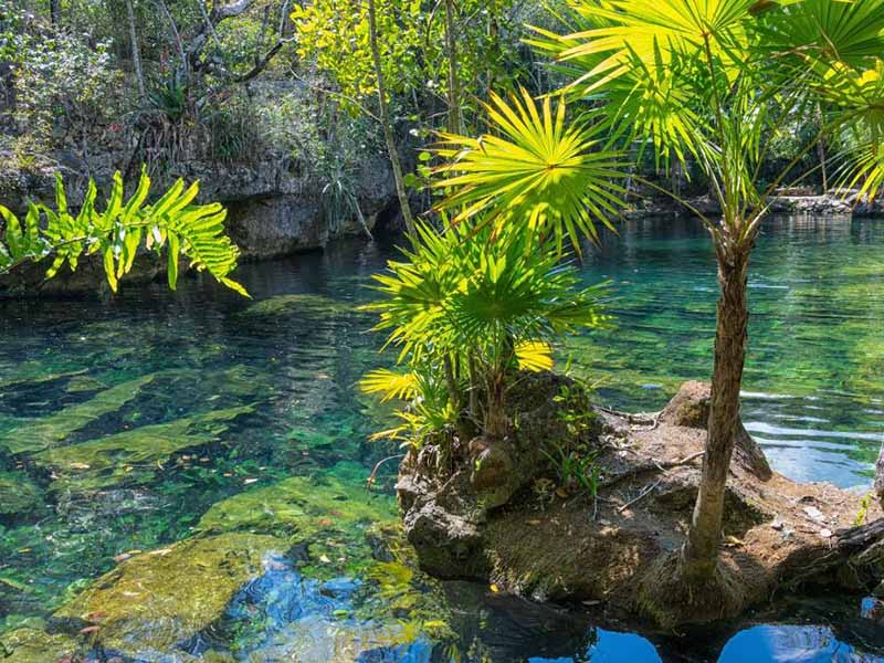 陕西铜川水质叶绿素a检测仪