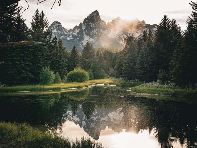 水质总磷检测仪其方法、要点与常见问题解析 七台河水质总磷检测仪