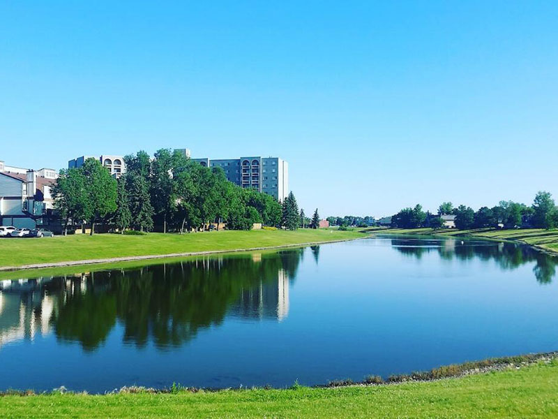 COD在线分析测定仪监测渭南水域的原理、校正与维护指南 渭南COD在线测定仪.jpg