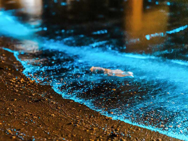 1762994736245724.jpg 1762916529188042.jpg