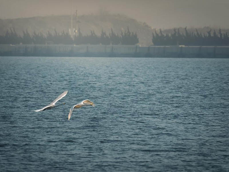 水质COD检测分析仪常见问题与解决方法 汉中水质COD检测仪