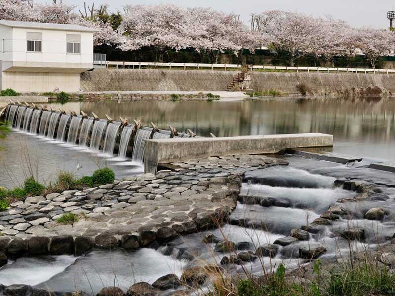 总氯水质检测仪其快速、准确的水质分析工具 大兴安岭水质总氯分析仪