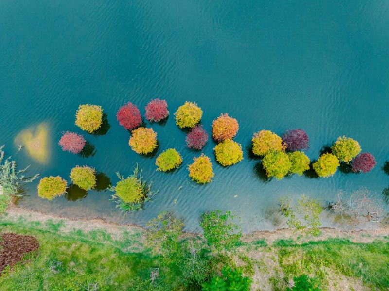 水质在线自动监测站系统守护济南水源的智慧哨兵.jpg 济南水质自动监测站.jpg