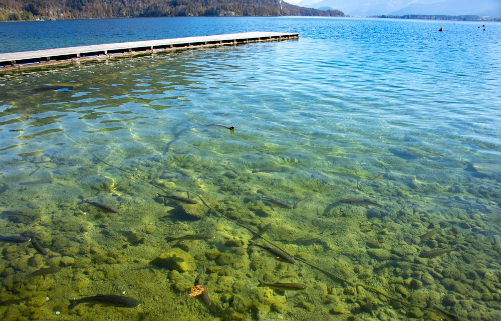 COD零值、负值、乱跳 三连击 六步自查表让比色结果秒回正轨 水质COD监测仪.jpg