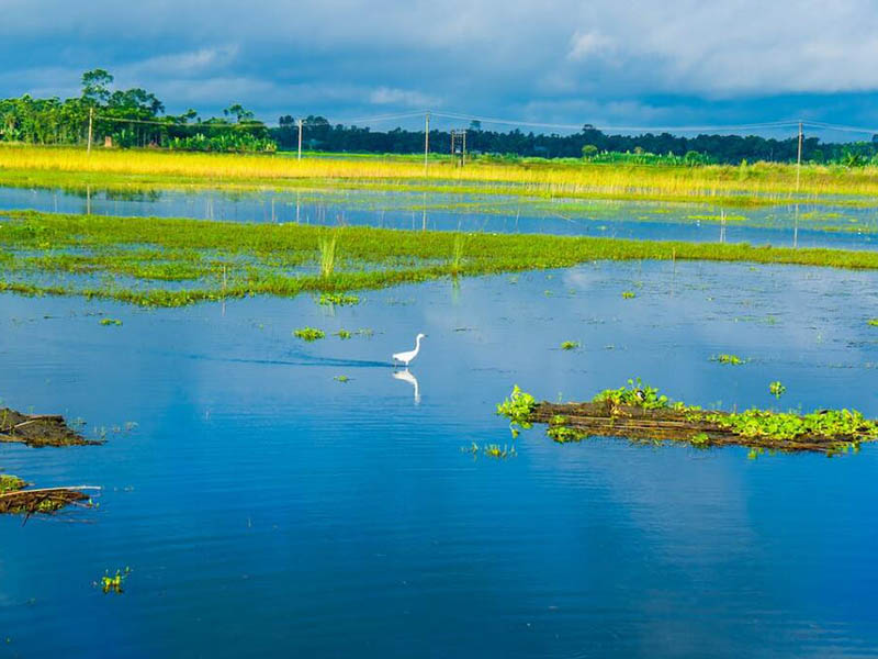 隐形杀手现形记 便携比色法10分钟锁定硫化氢 甘肃定西水产养殖检测仪