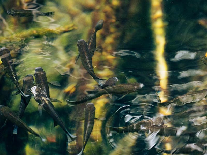 1冬季溶氧仪不死机5招锁死防冻+恒温封存湿润不怕寒潮来袭 滨州水产养殖检测仪