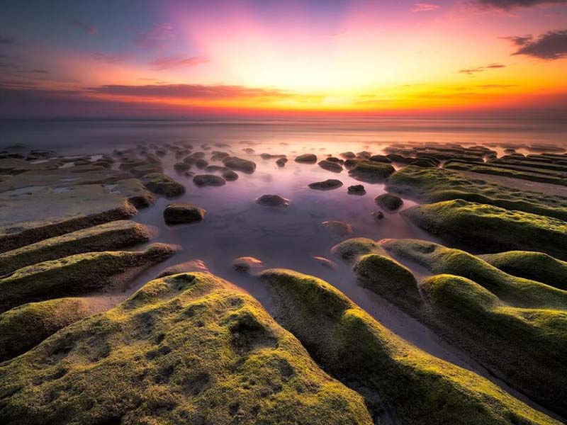 定西便携式水质总磷检测仪