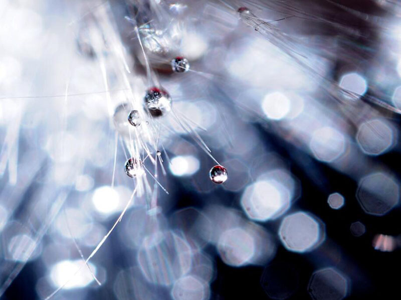 1764808606890035.jpg 1661149652386832.jpg