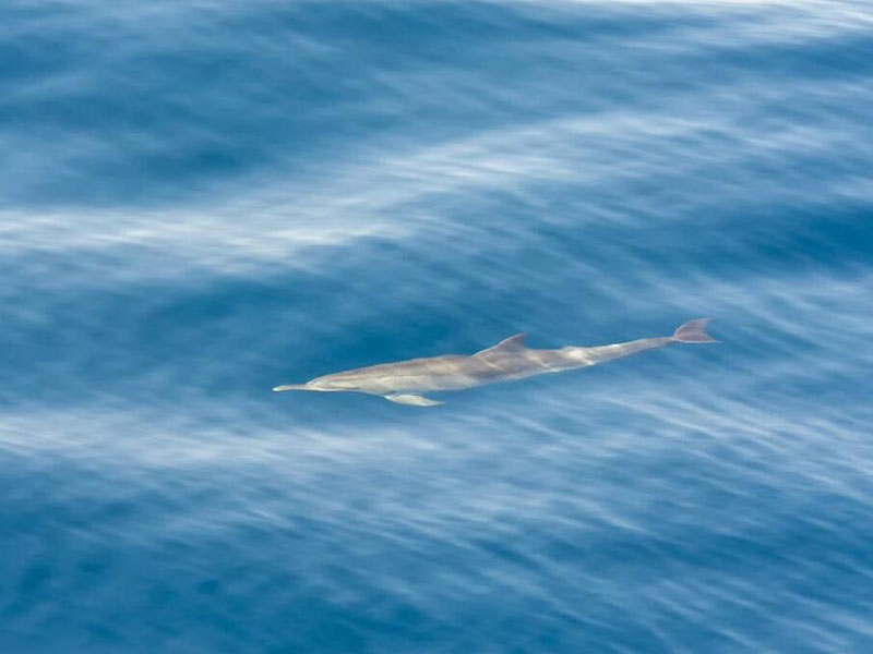 九江余氯水质检测