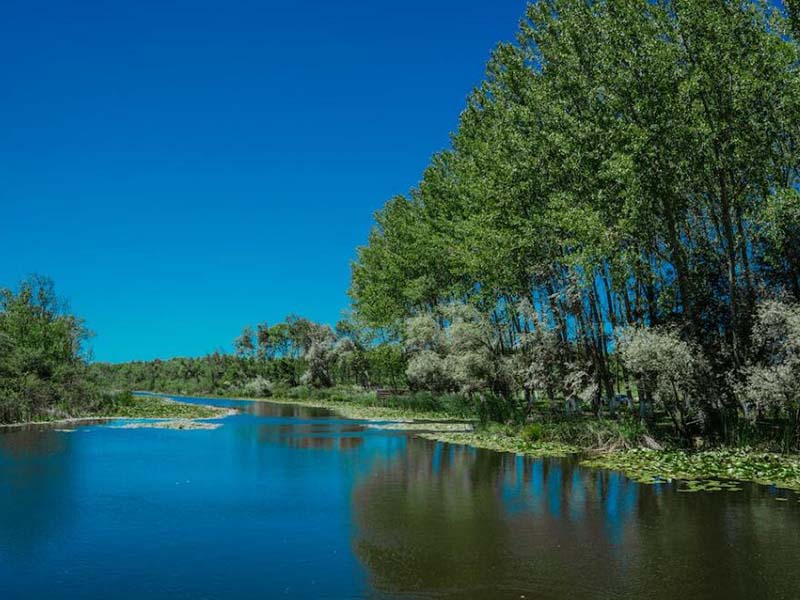 把实验室折叠进口袋自检/校准 便携式水质 COD 氨氮检测仪.jpg