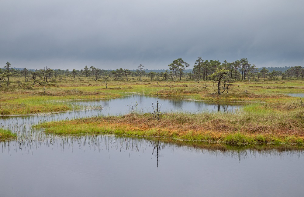 吐鲁番COD水质自动监测仪