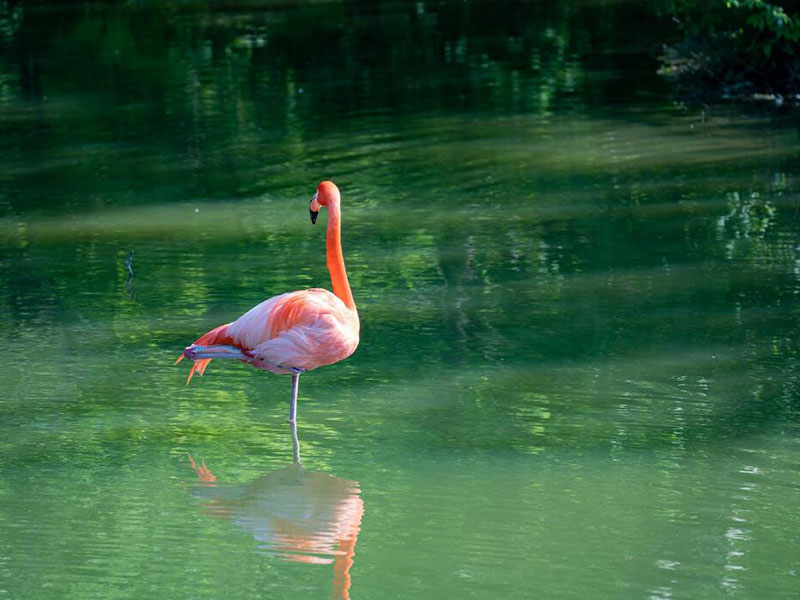 莆田紫外分光测油仪