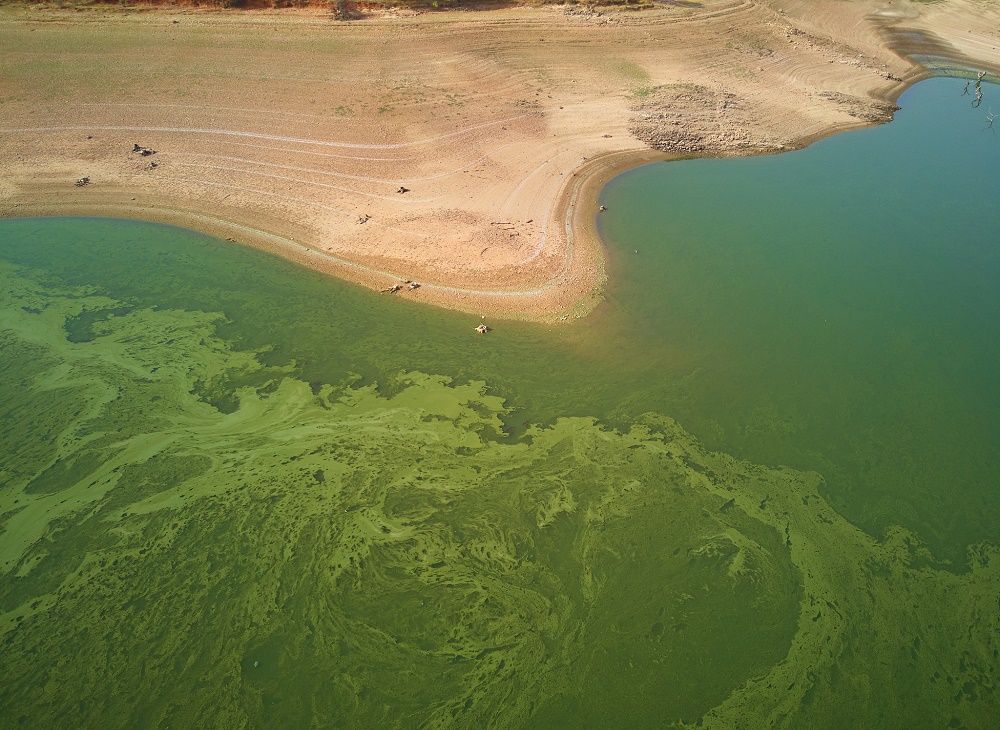 呈现代化 COD氨氮测定仪实战指南 COD+氨氮“双剑合璧”