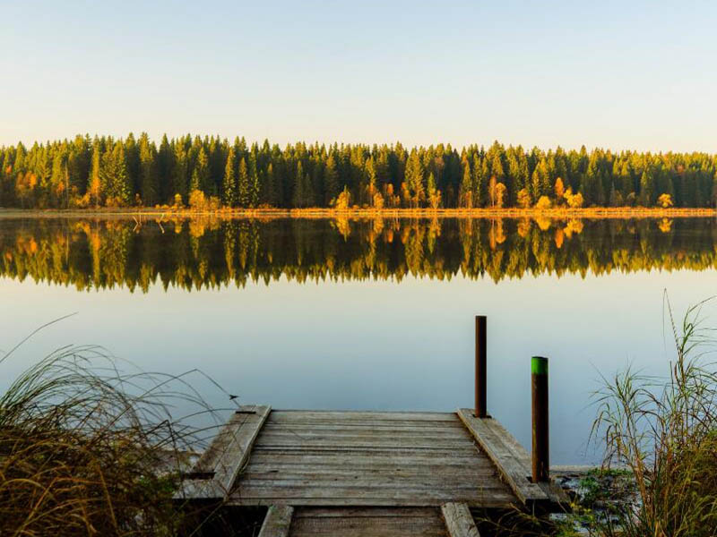 离子电极 10 min 速测水中氟化物