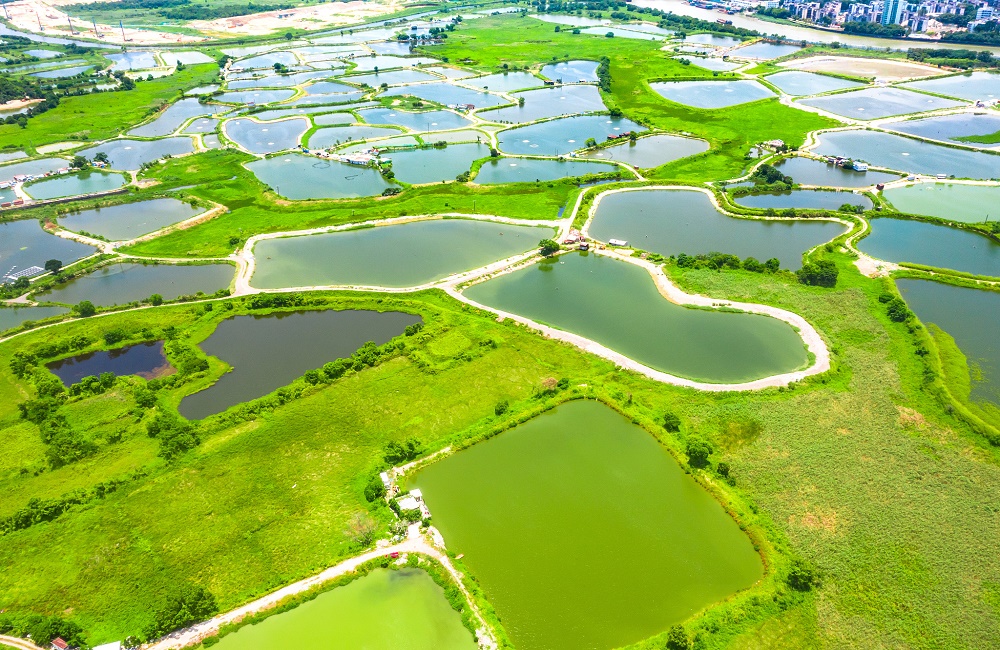现代工业废水浊度监测