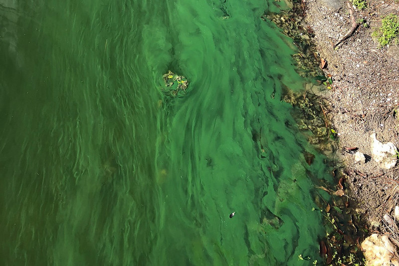 便携式多参数监测