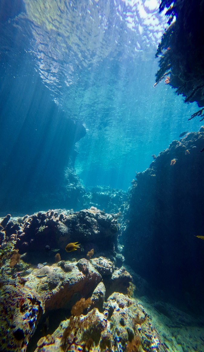 便携式多参数总磷检测