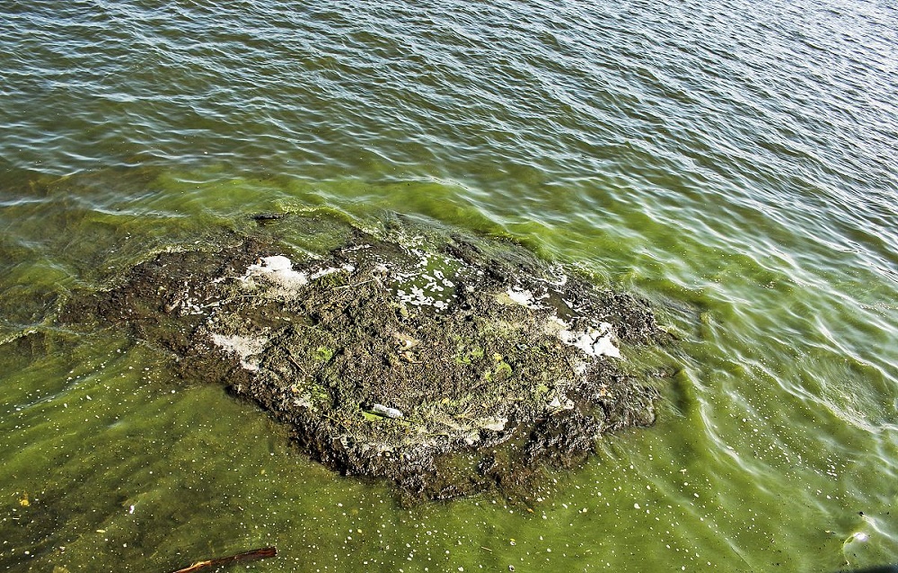 石河子一体化蒸馏仪