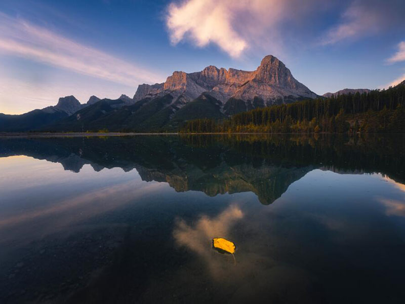 微生物监测分析