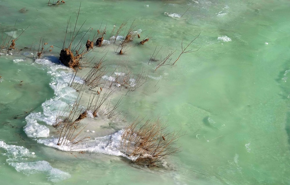 便携式水质监测