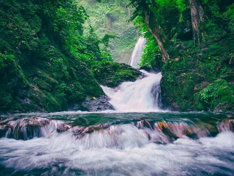 1768282670487236.jpg 1690957539532909.jpg