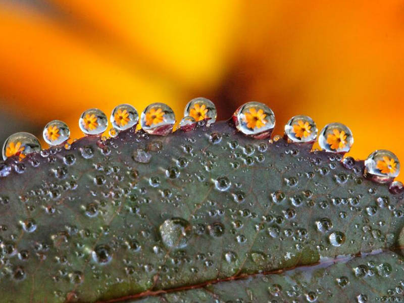 余氯、总氯、有效氯：别再傻傻分不清了