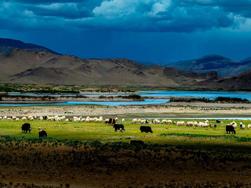 COD快速检测仪的底层逻辑