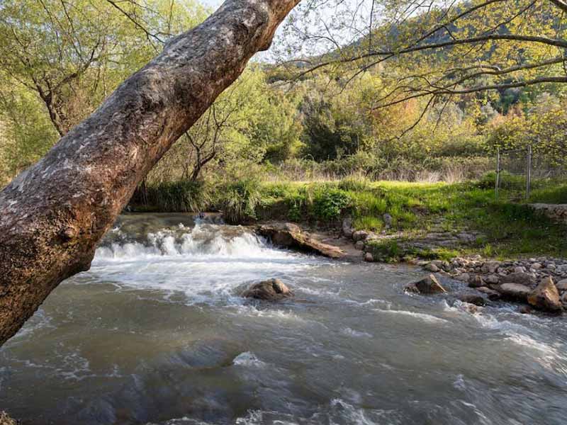 从零点漂移铁干扰到光源衰老