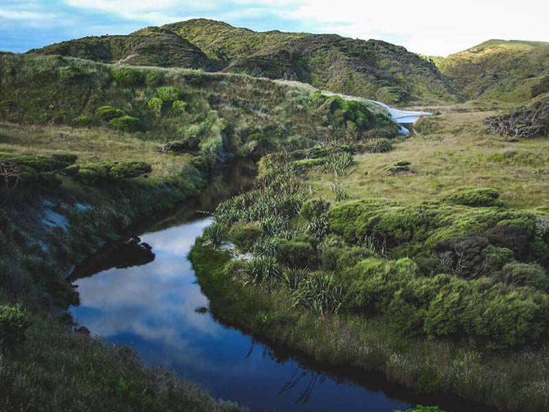 BOD检测技术三百年进化史从“束育瓶”到“生物芯片”