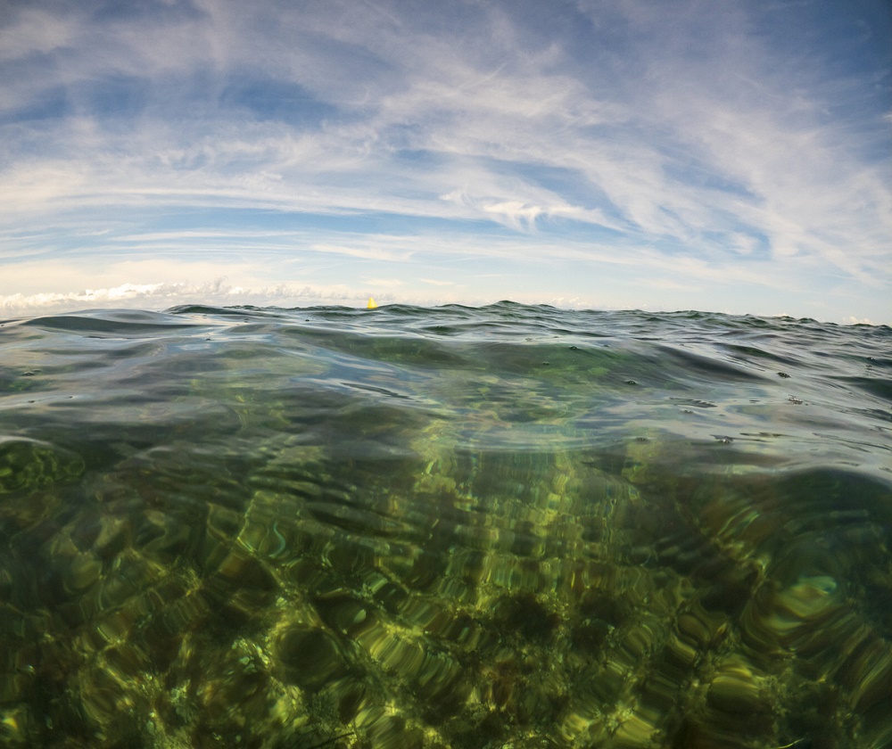 COD五大家族谱 从回流到快解选对方法
