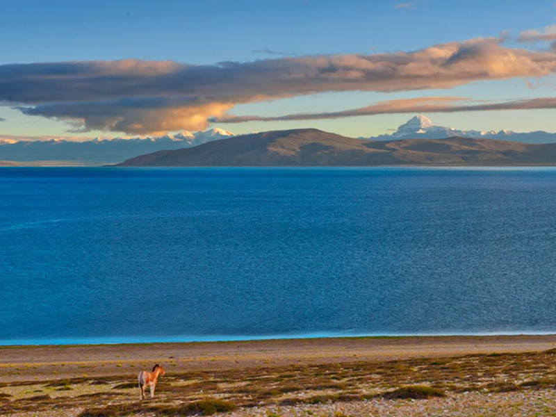 红外水质测油仪